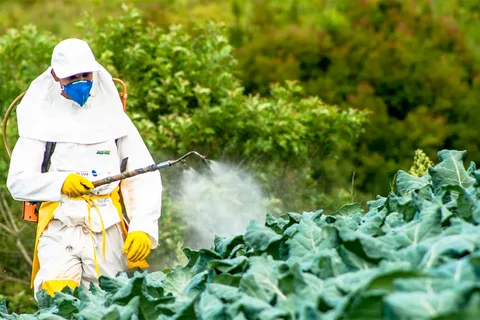 أنواع المبيدات الحشرية التي تستخدمها شركة الأوائل